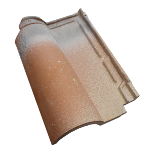 Terreal-Romane-Origin